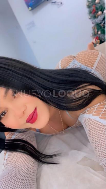 NuevoLoquo4