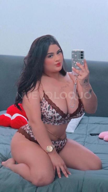 NuevoLoquo3