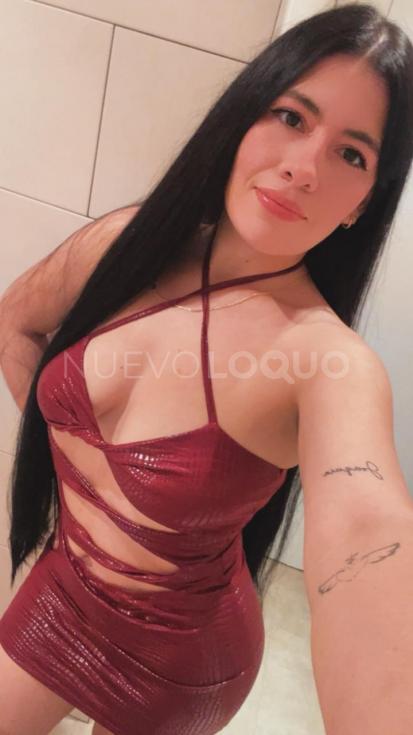 NuevoLoquo3