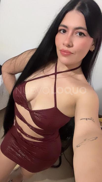 NuevoLoquo5
