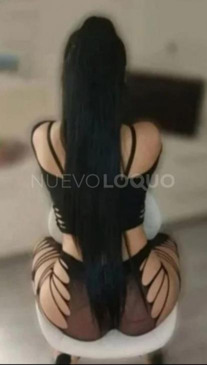 NuevoLoquo3
