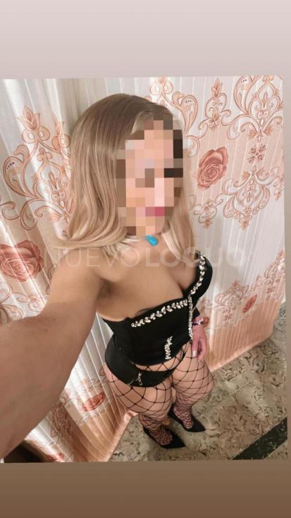 NuevoLoquo2