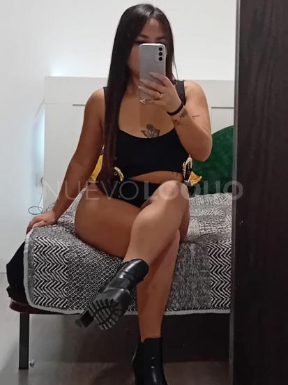 NuevoLoquo3