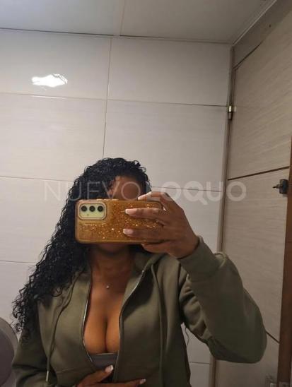 NuevoLoquo2