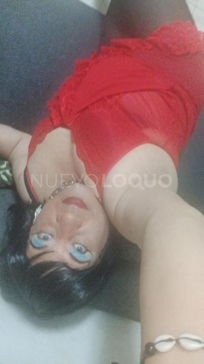 NuevoLoquo2