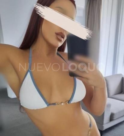 NuevoLoquo2