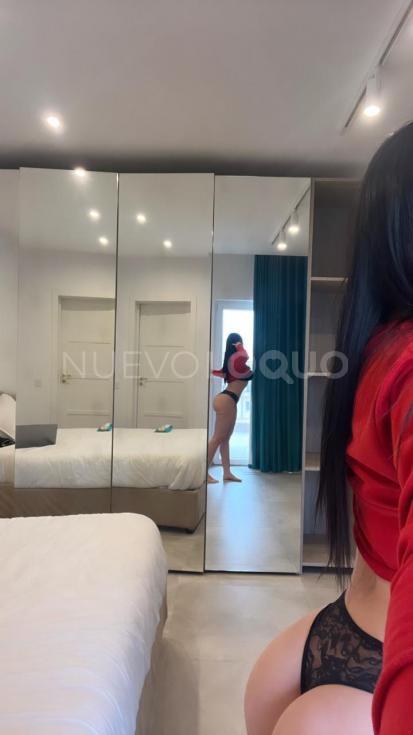 NuevoLoquo2