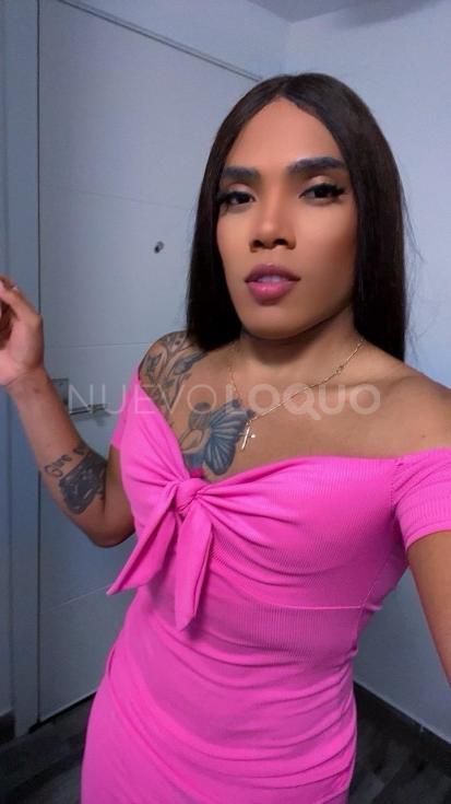 NuevoLoquo1