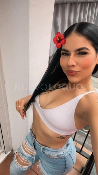 NuevoLoquo3