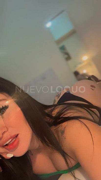 NuevoLoquo3