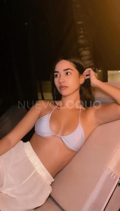 NuevoLoquo3