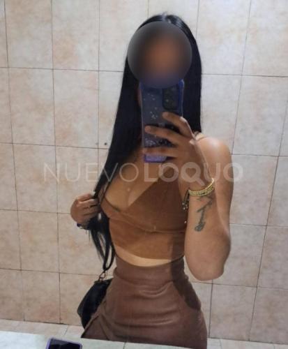 NuevoLoquo3