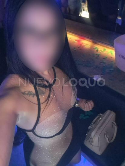 NuevoLoquo5
