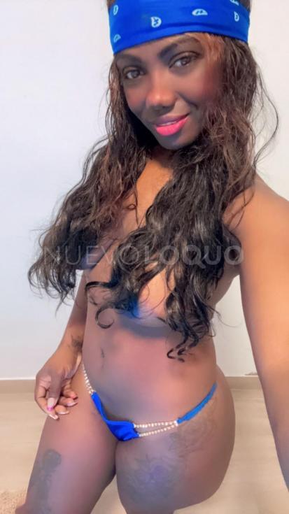 NuevoLoquo2