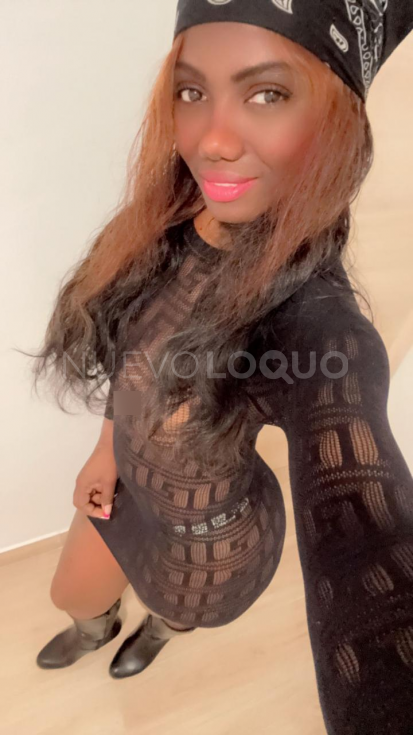 NuevoLoquo3