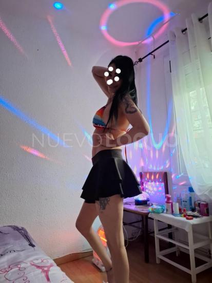 NuevoLoquo3