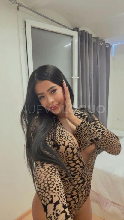 NuevoLoquo2