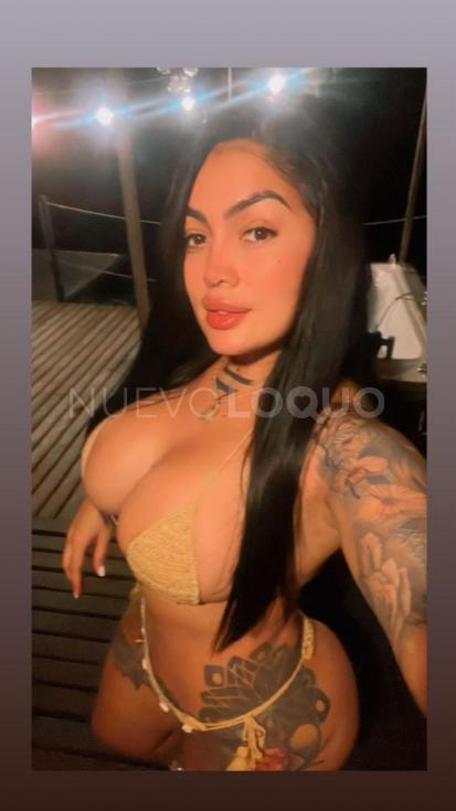 NuevoLoquo2