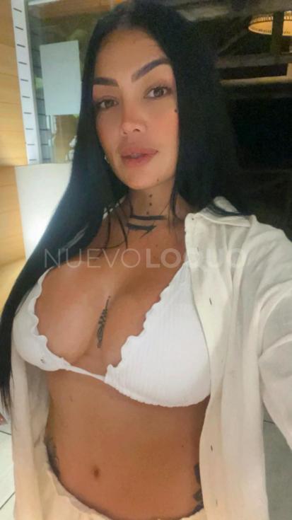 NuevoLoquo3