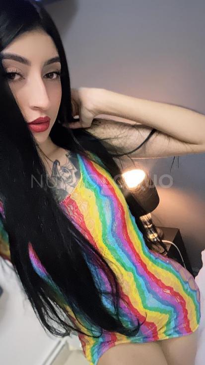 NuevoLoquo1