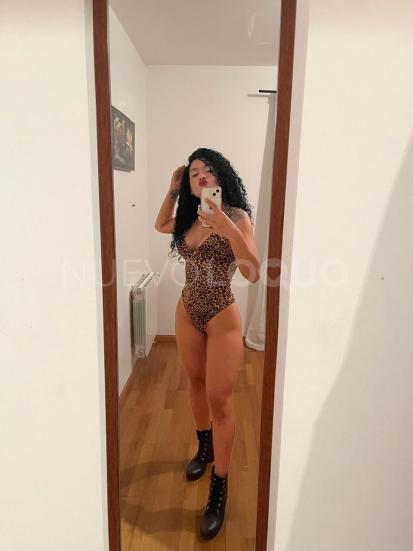 NuevoLoquo3