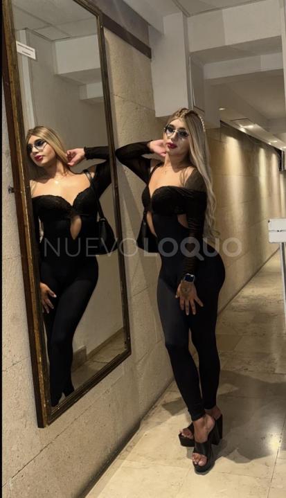 NuevoLoquo2
