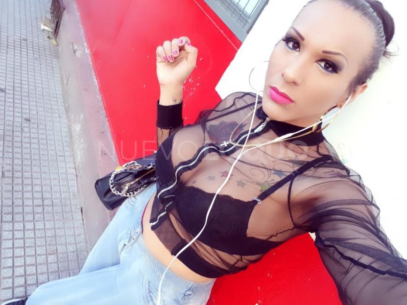 NuevoLoquo5