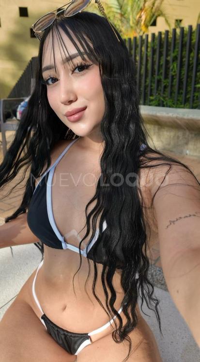 NuevoLoquo3