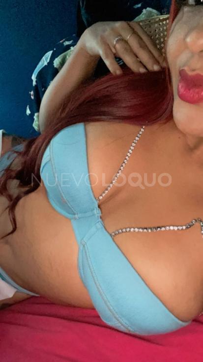 NuevoLoquo1