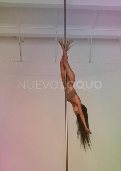 NuevoLoquo4