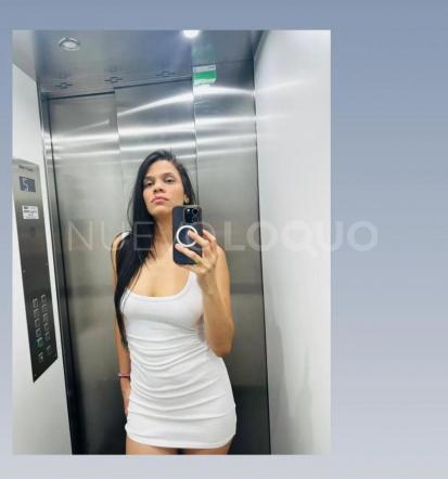 NuevoLoquo1