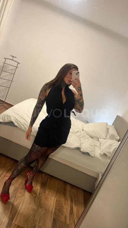 NuevoLoquo1