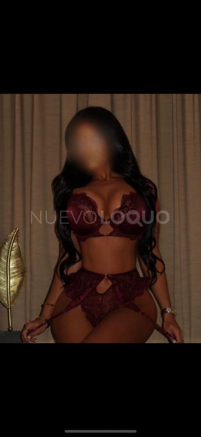 NuevoLoquo1