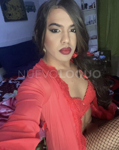 NuevoLoquo2