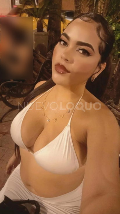 NuevoLoquo3