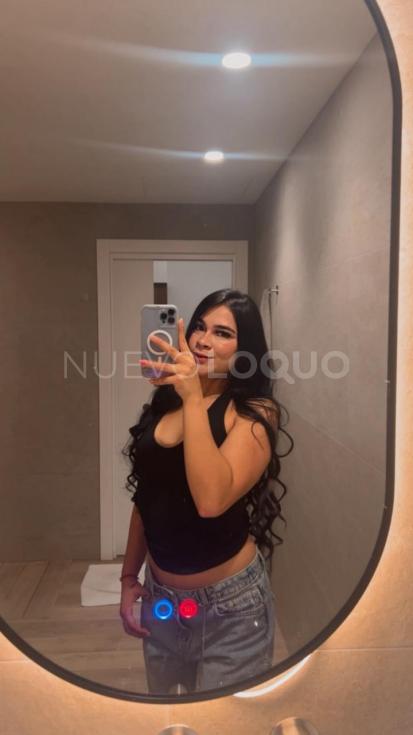 NuevoLoquo2