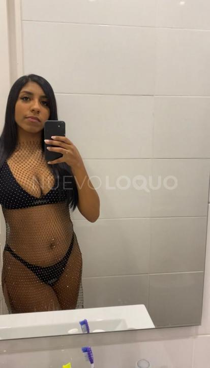 NuevoLoquo3