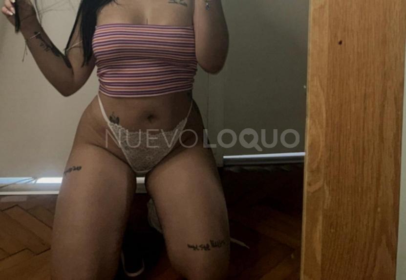 NuevoLoquo2