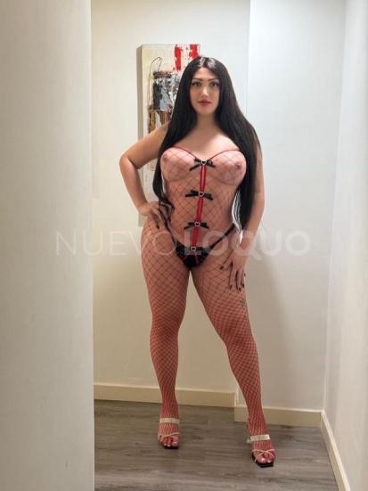 NuevoLoquo4
