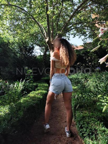 NuevoLoquo3