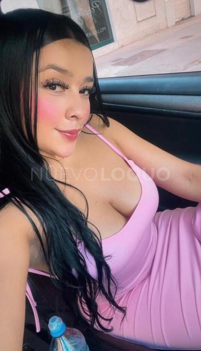 NuevoLoquo3