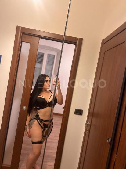 NuevoLoquo1