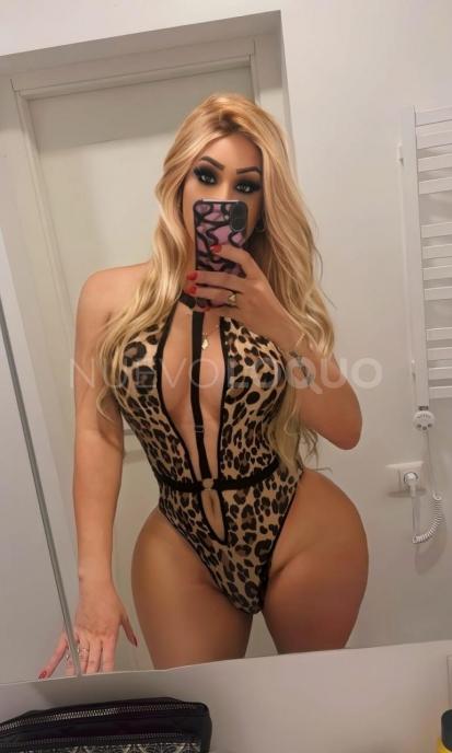 NuevoLoquo4