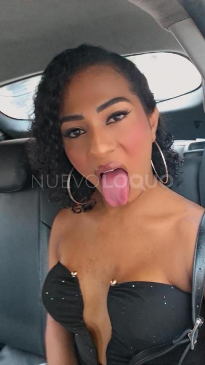 NuevoLoquo3