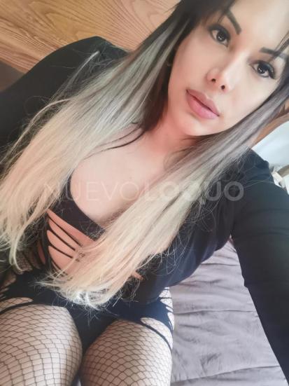 NuevoLoquo2