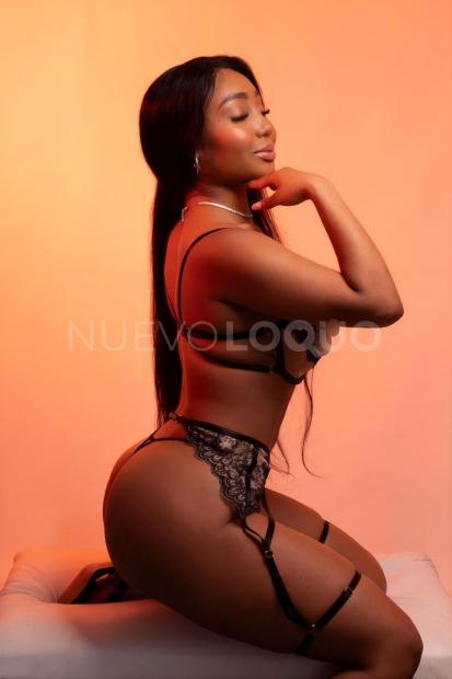 NuevoLoquo3