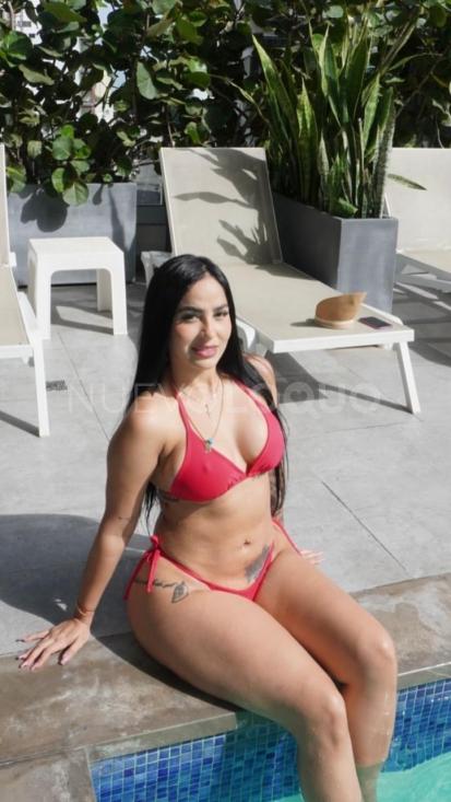 NuevoLoquo2