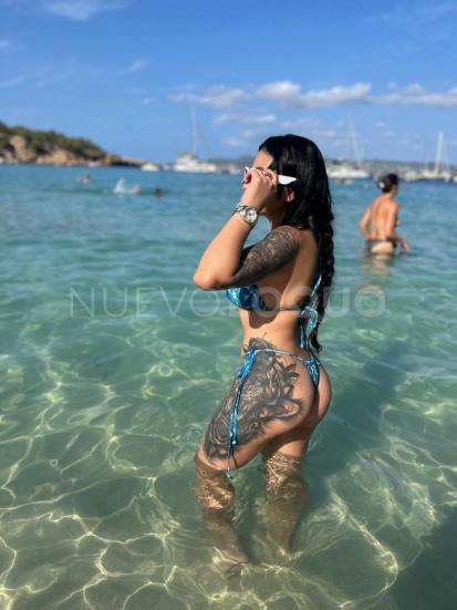 NuevoLoquo3