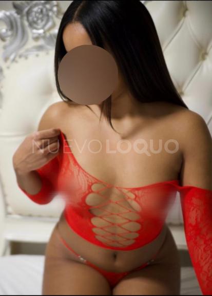 NuevoLoquo3