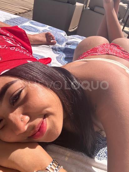NuevoLoquo2